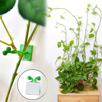 Self-Adhesive Plant Climbing Clips