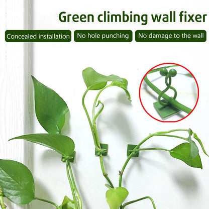 Self-Adhesive Plant Climbing Clips