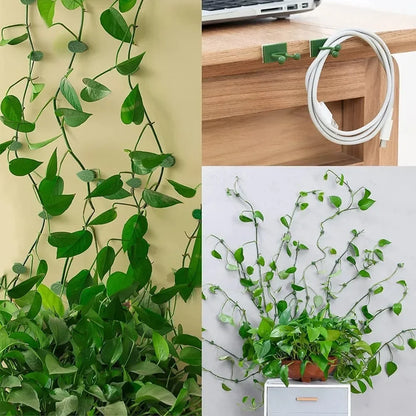 Self-Adhesive Plant Climbing Clips