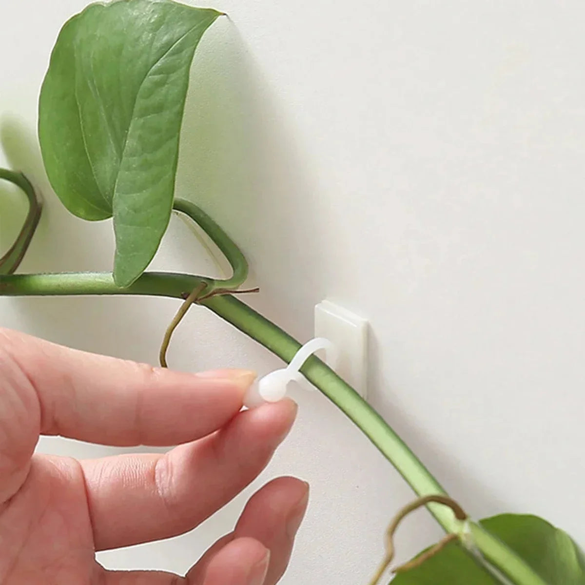 Self-Adhesive Plant Climbing Clips