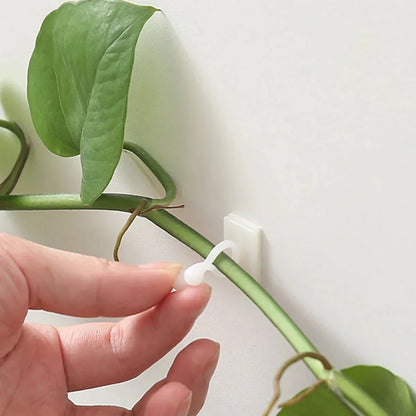 Self-Adhesive Plant Climbing Clips
