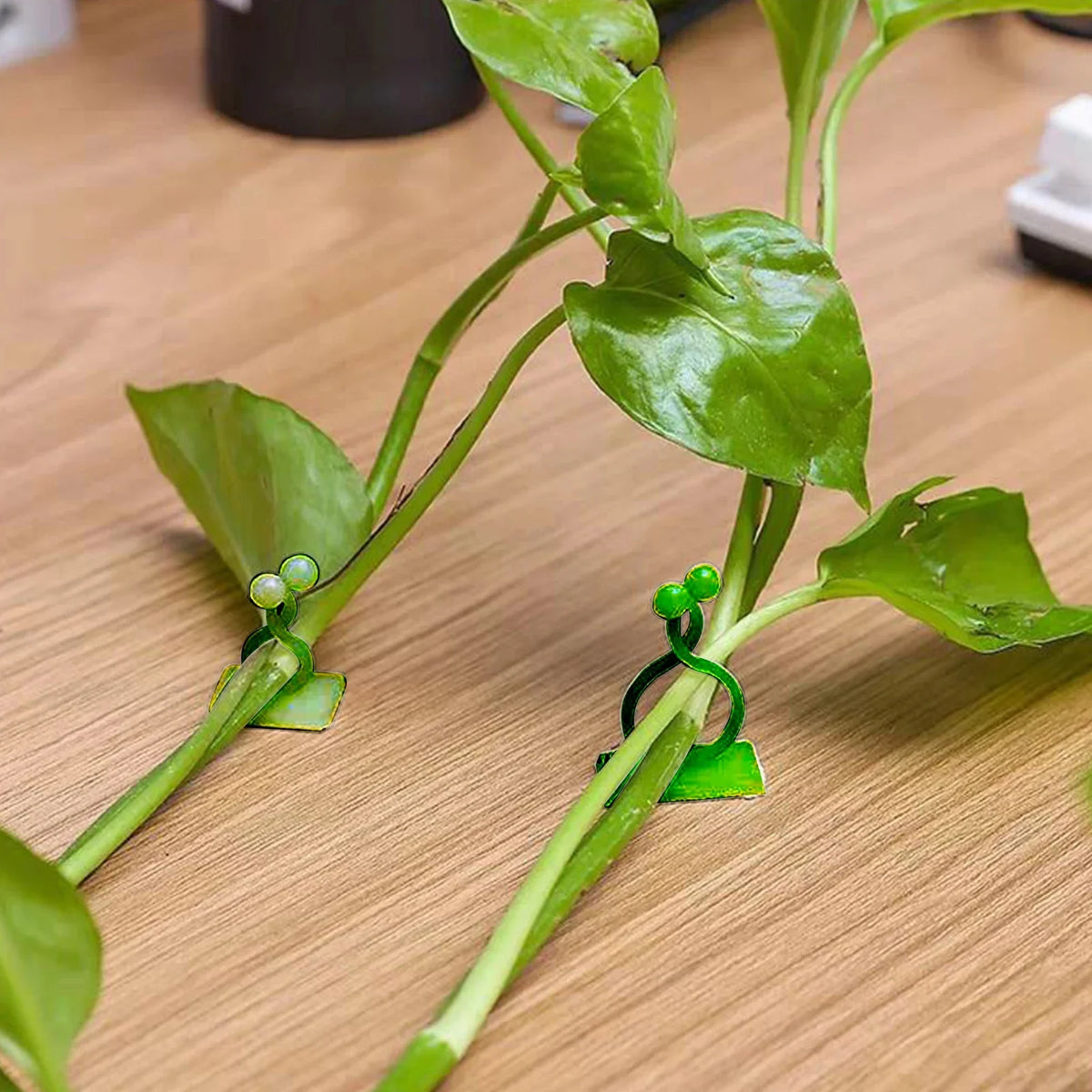 Self-Adhesive Plant Climbing Clips