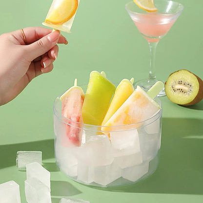Home-Made Popsicle Maker | Ice-Cream Maker Mould